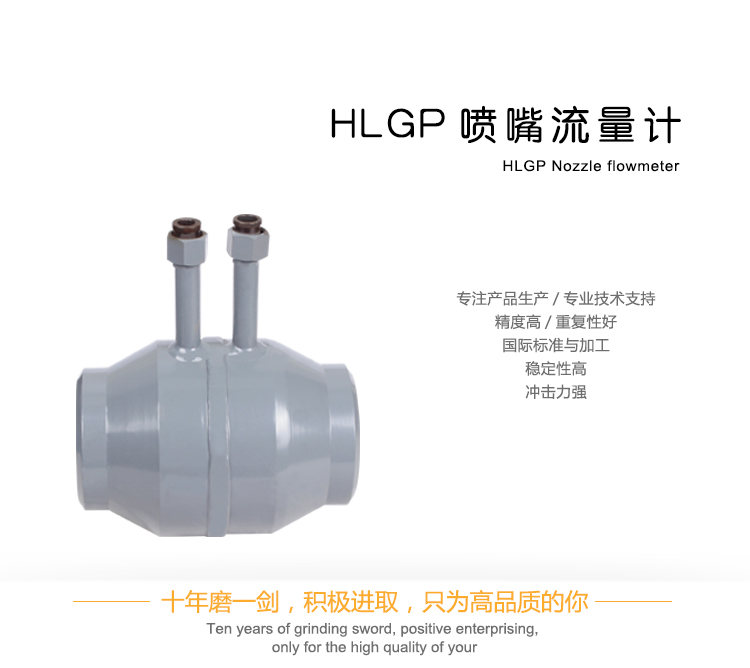 HLGP噴嘴流量計